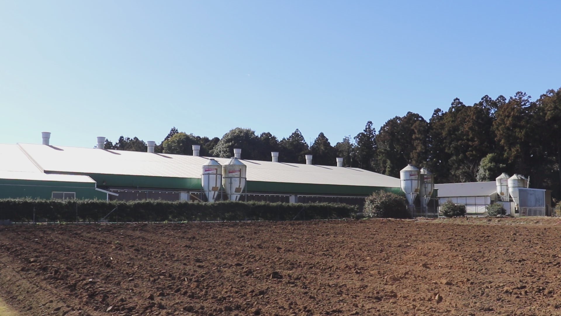 動画を読み込む: 