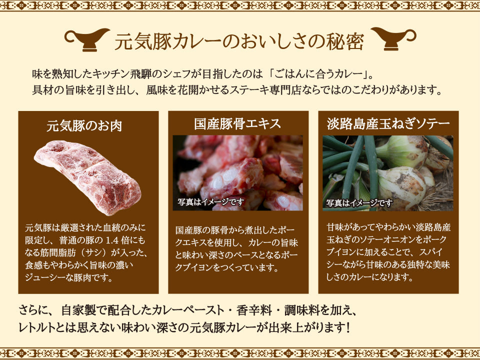 元気豚カレー　200ｇ×2パック【ポスト投函】