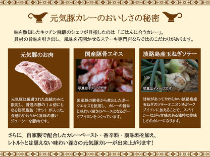 元気豚カレー　200ｇ×2パック【ポスト投函】